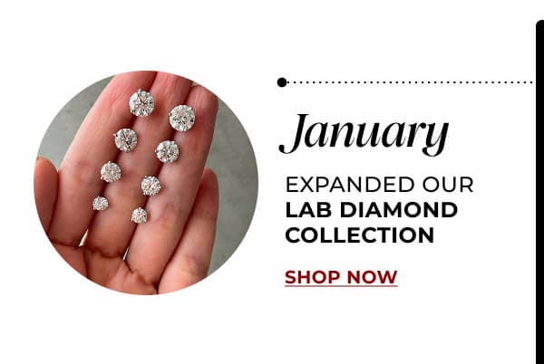 JANUARY. Expanded our Lab Diamond Collection