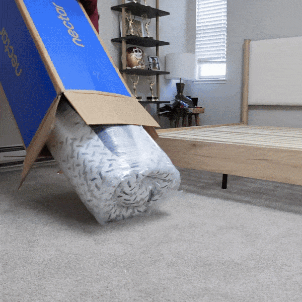 Nectar Mattress Visual (with model)