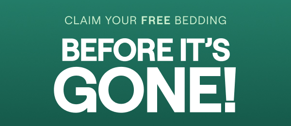 FREE Bedding Set (up to $599 value) with any mattress purchase