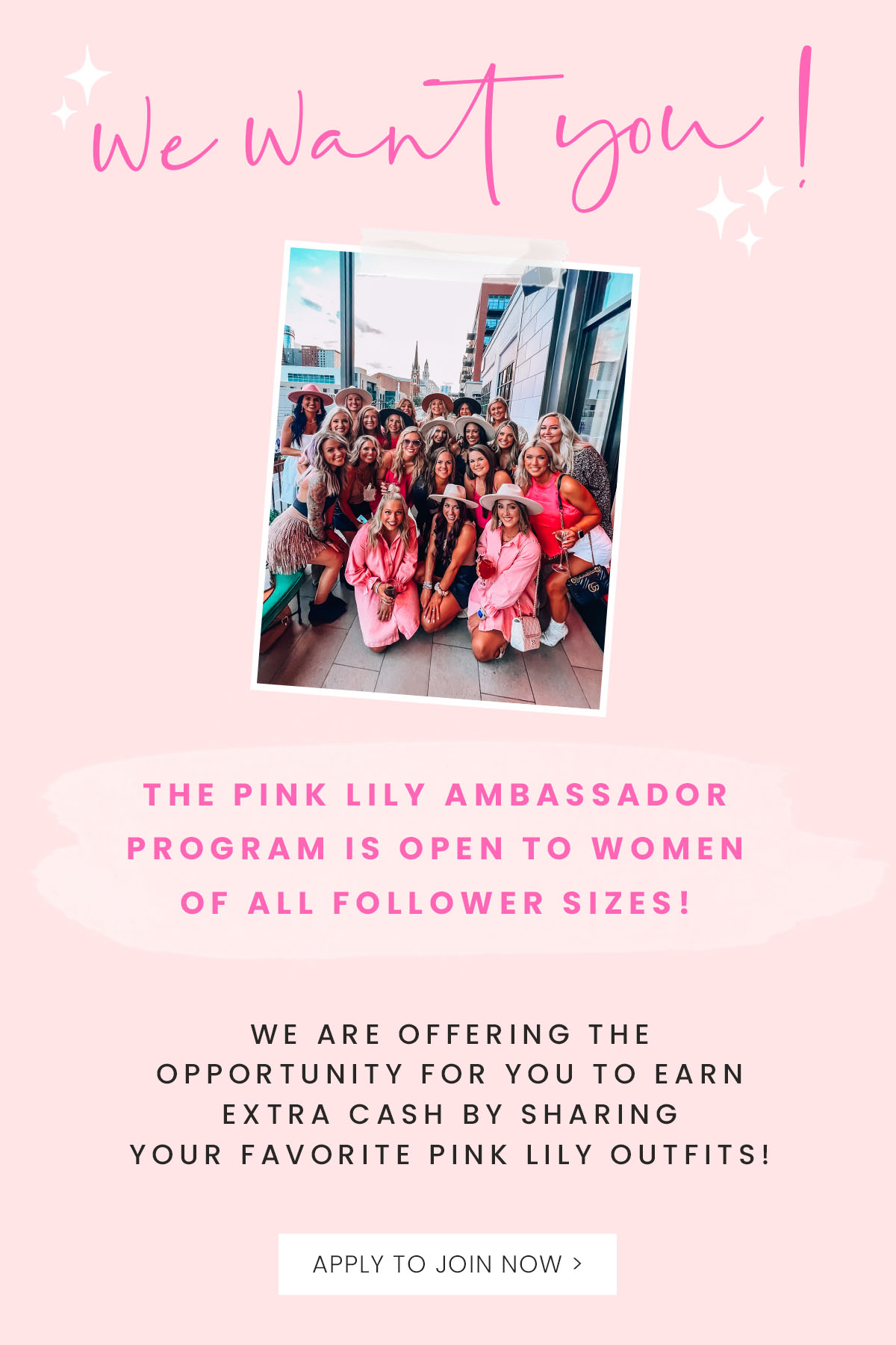 a Pink Lily Ambassador TODAY! The Pink Lily Boutique