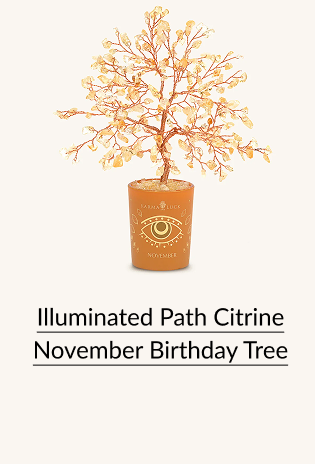 Illuminated Path Citrine November Birthday Tree