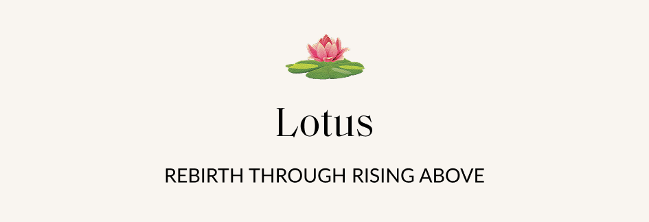 Lotus 