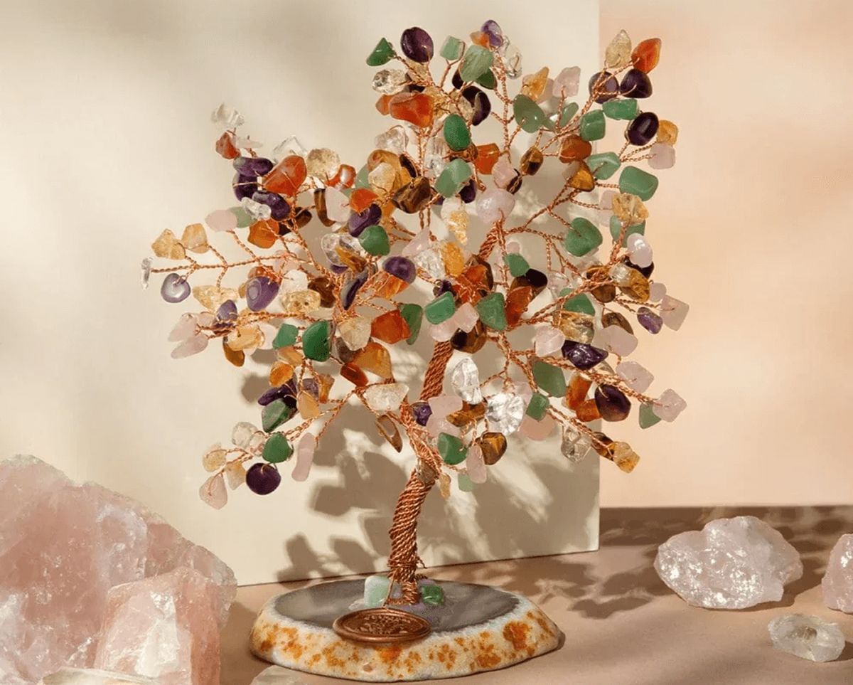 bonsai tree image