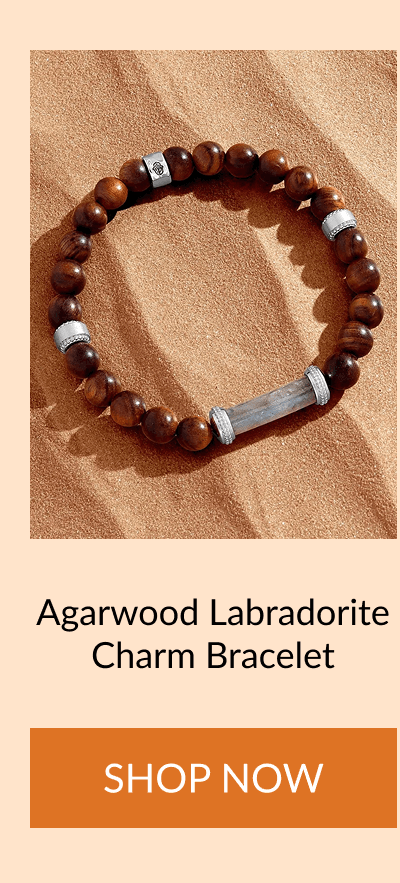 Agarwood Labradorite Charm Bracelet
