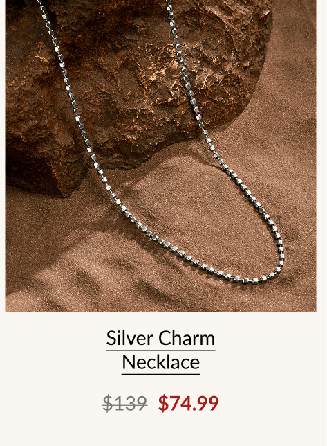 Silver Charm Necklace