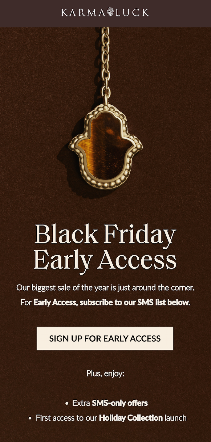 Black Friday Early Access