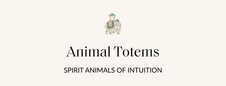 His Favorites & 40% Off