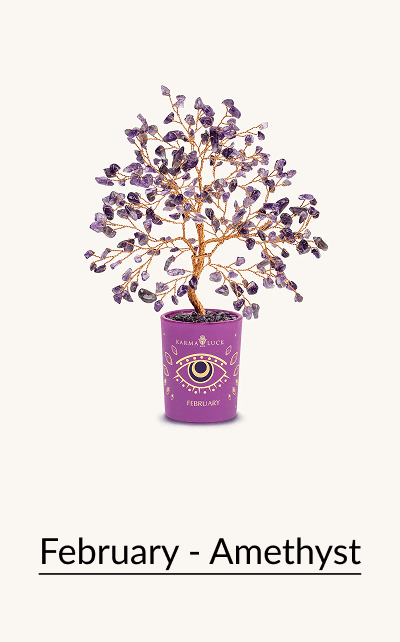 February - Amethyst