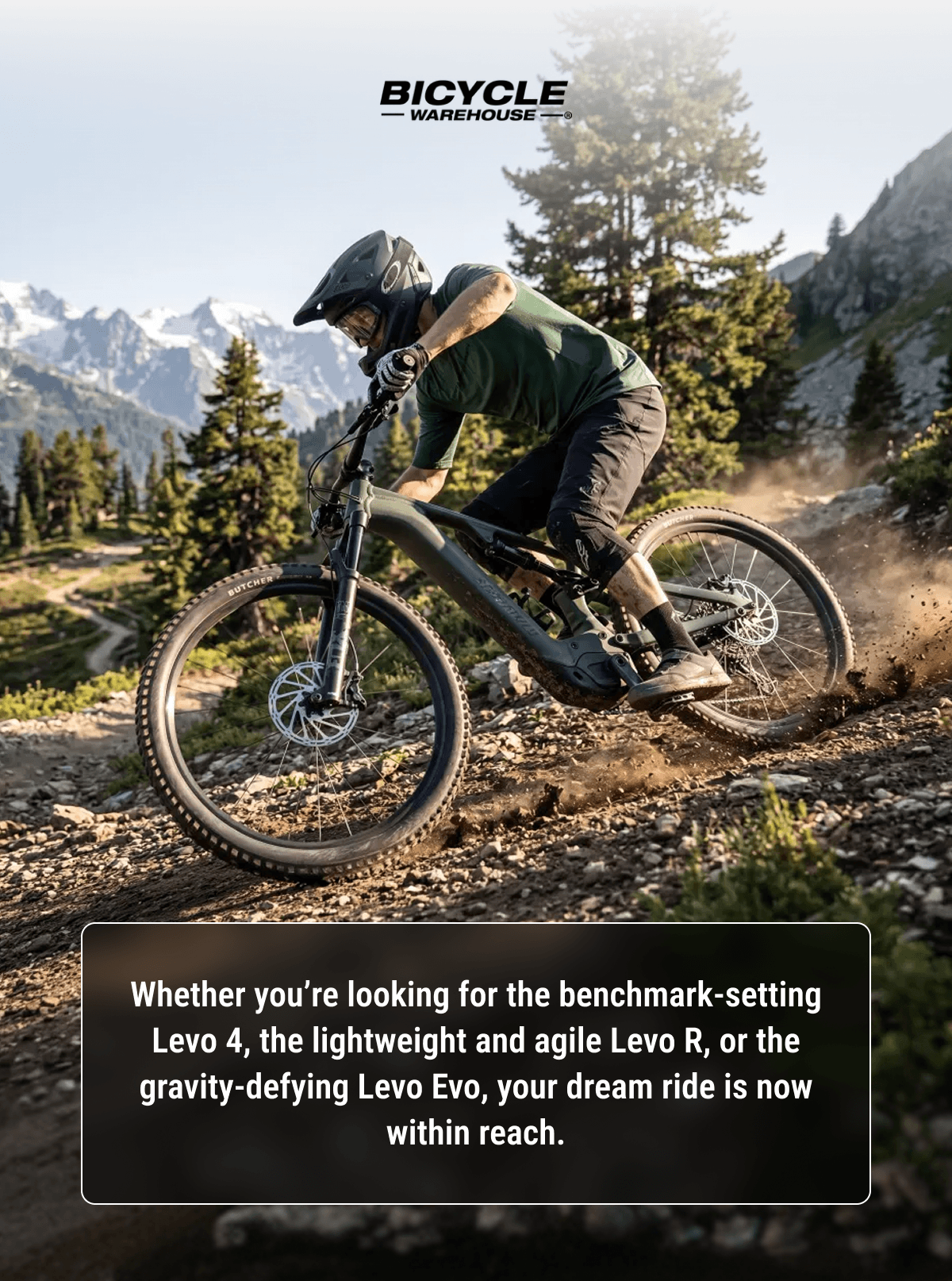 Whether You're Looking For The Benchmark