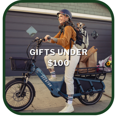 Gifts Under $100