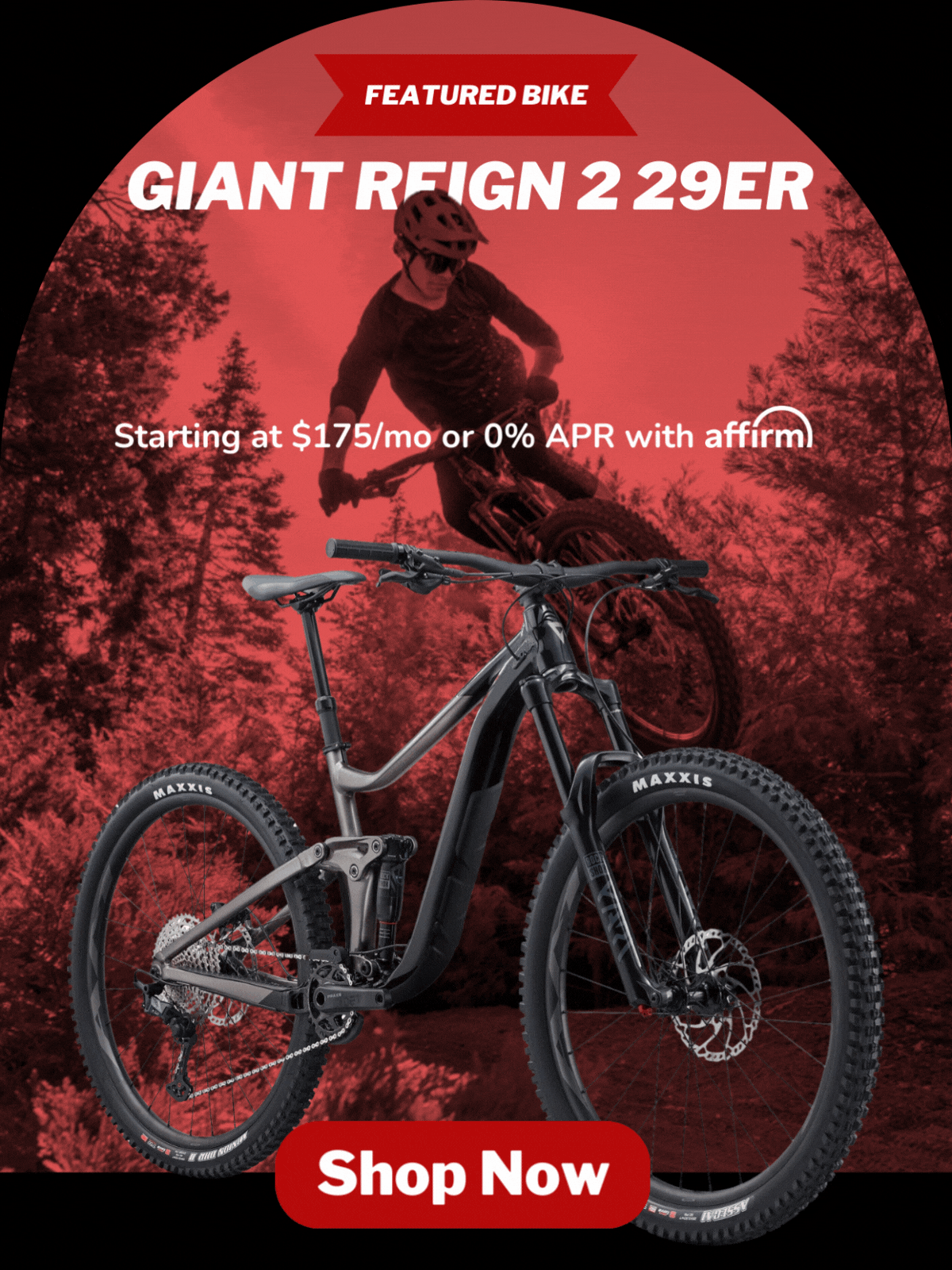 Giant Reign 2 29er