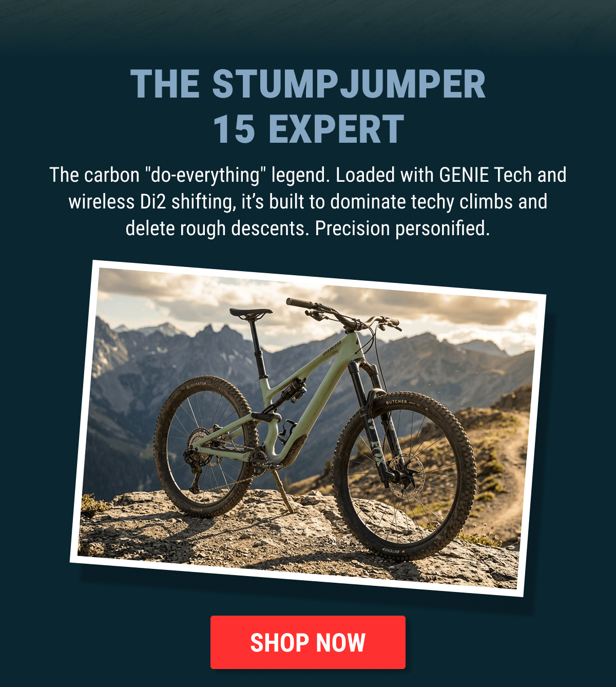 Specialized Stumpjumper 15 Expert (2025)