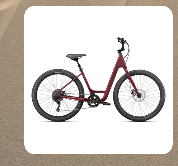 Specialized Roll 3.0 Low Entry Fitness Bike
