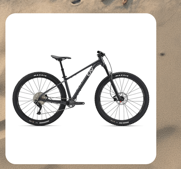 Liv Lurra 2 29er Women's Mountain Bike (2023)