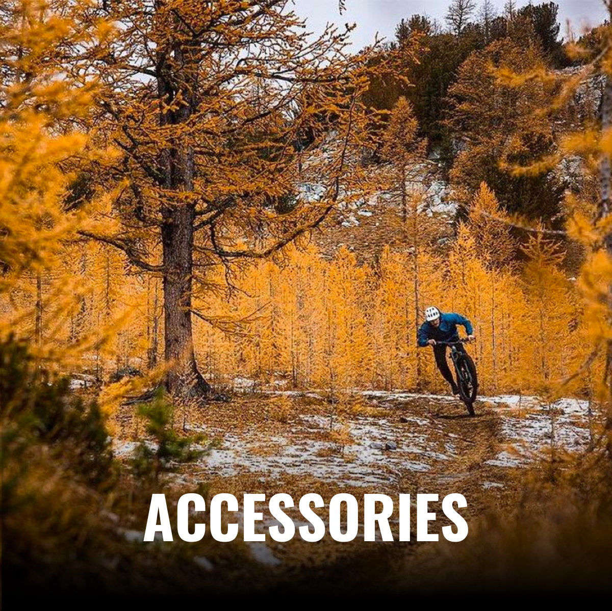 Accessories