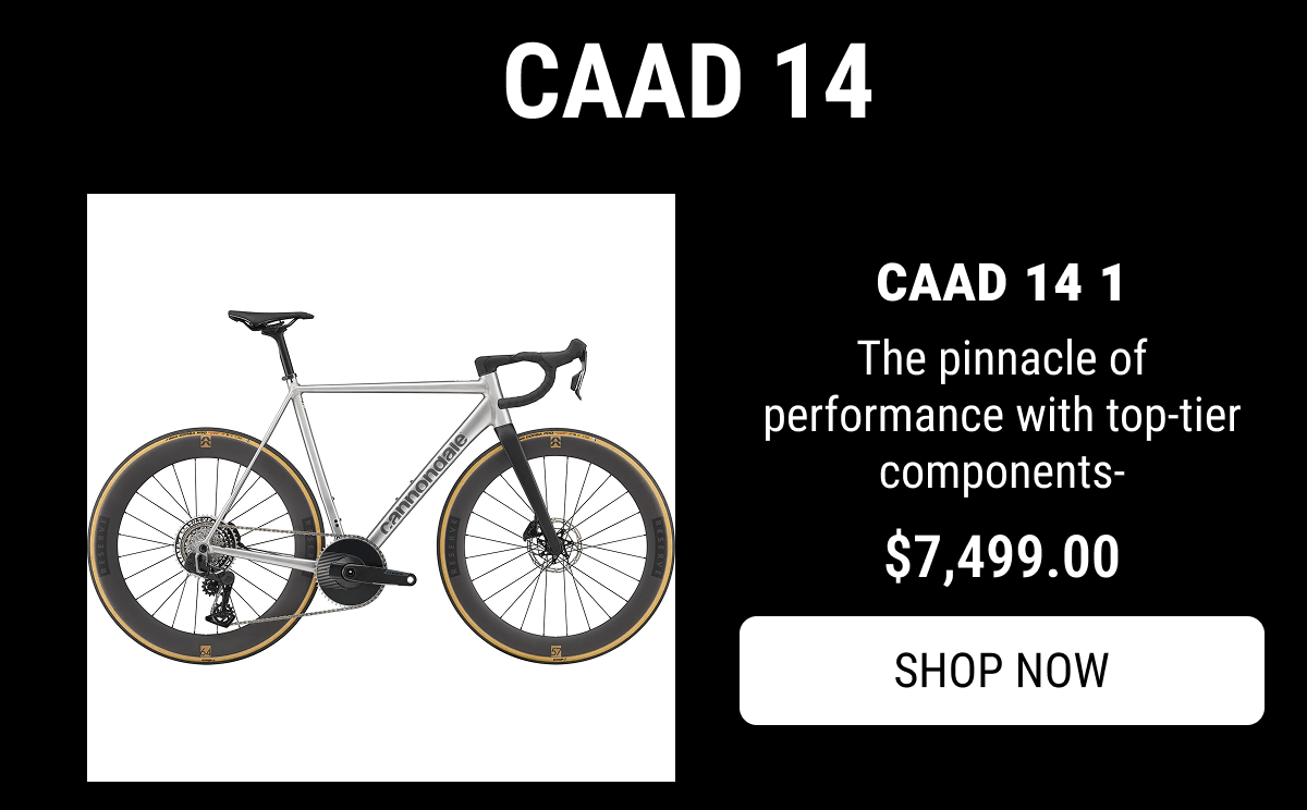 CAAD 14 1