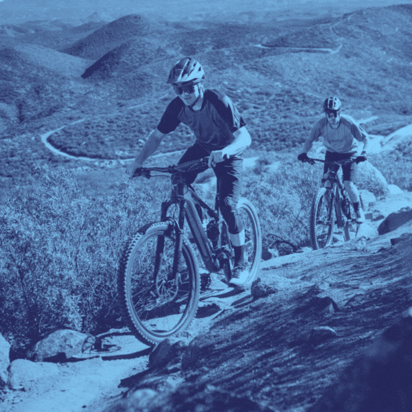 Now Shipping Giant & Liv Bikes! Bicycle Warehouse