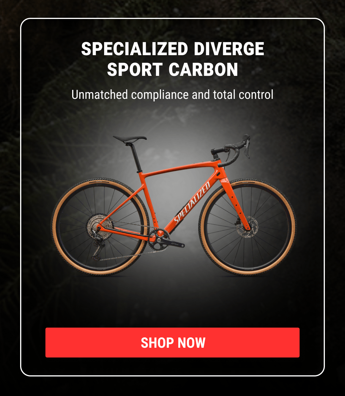 Specialized Diverge Sport Carbon