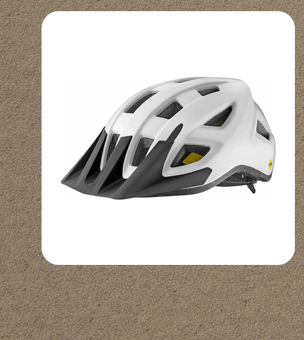 Giant Path Bike Helmet