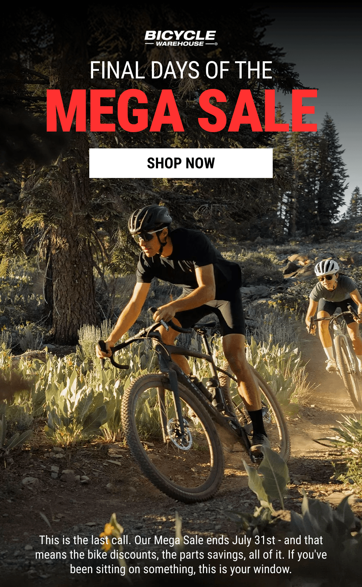 Final Days Of The Mega Sale