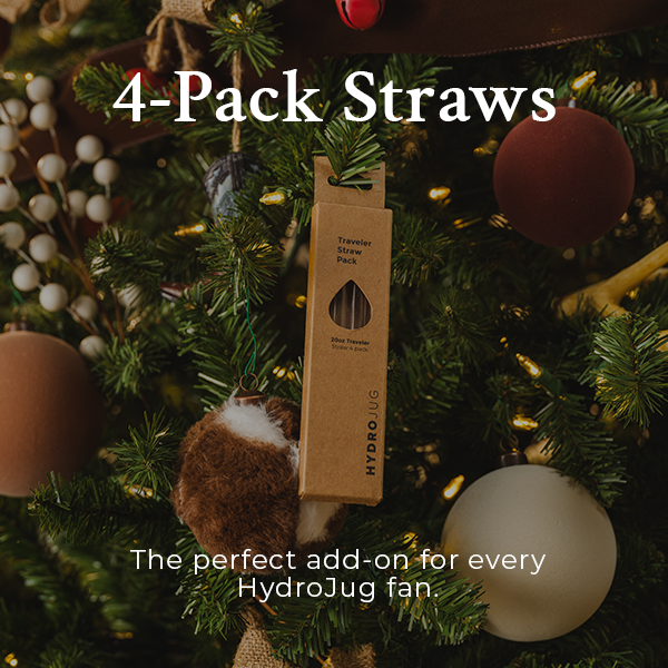 4 Pack Straws