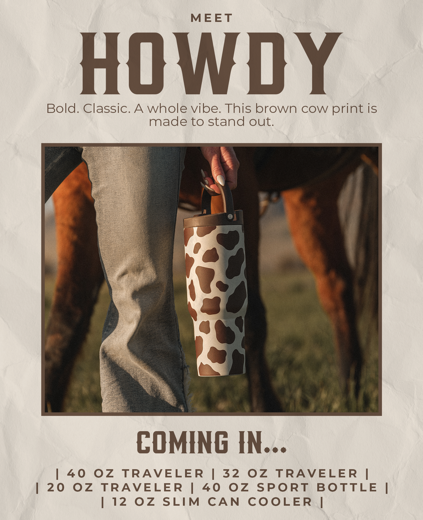 Meet Howdy