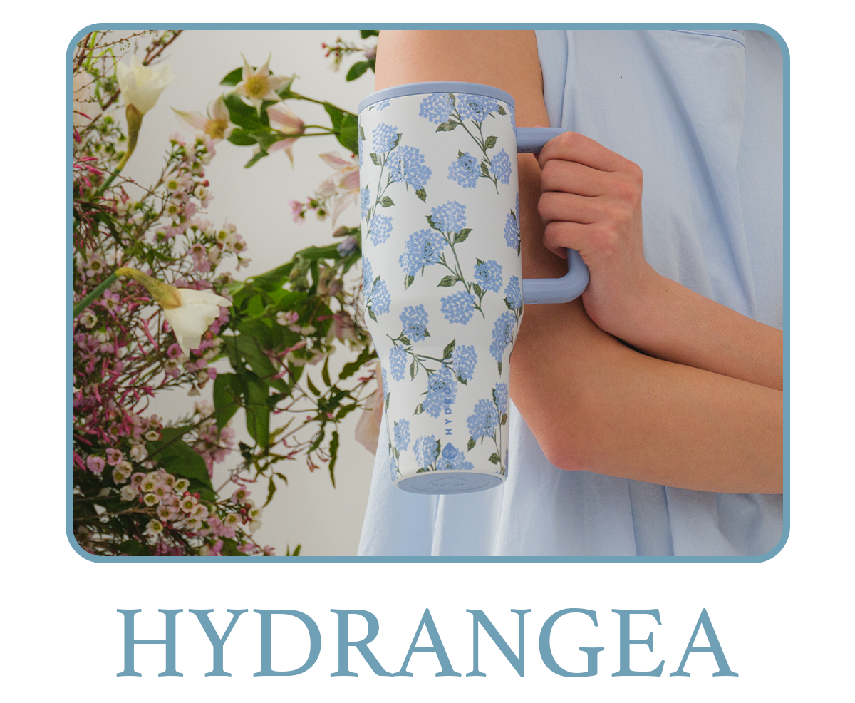 Shop Hydrangea