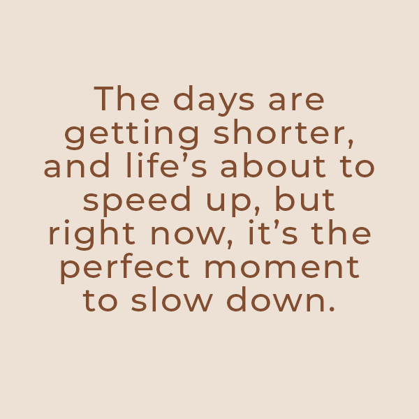 Doscover our coziest colors