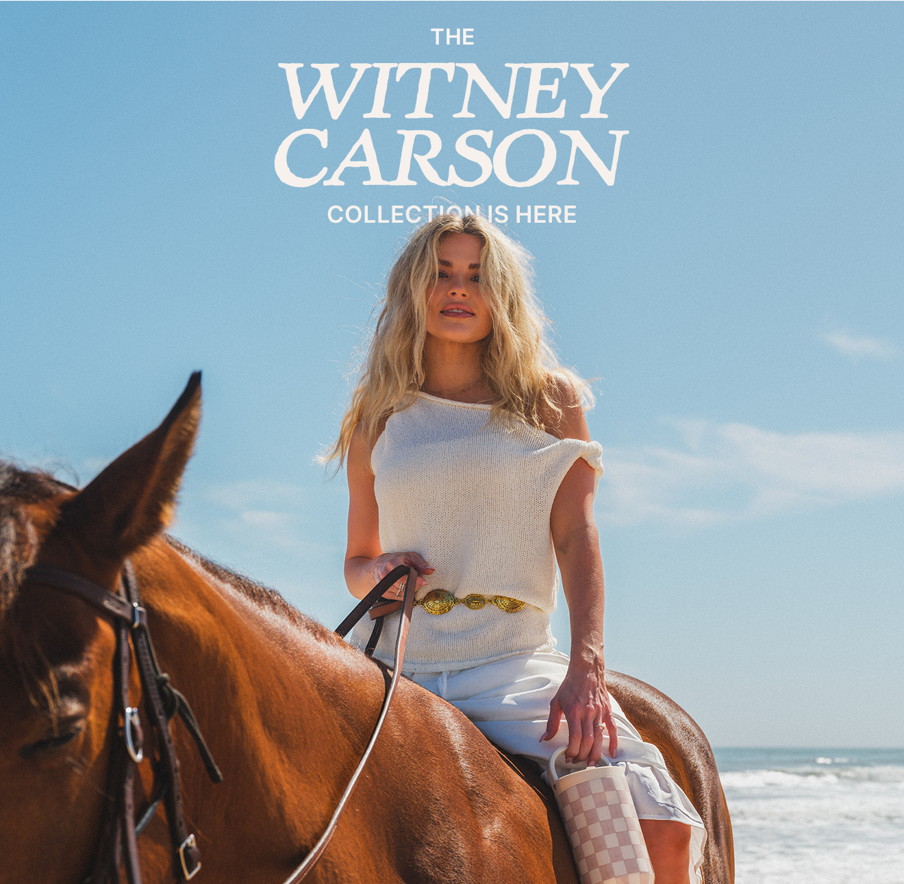 Shop The Witney Carson Collection