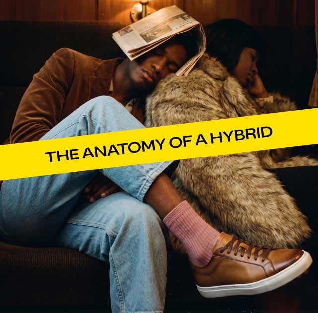 THE ANATOMY OF A HYBRID THE ANATOMY OF A HYBRID