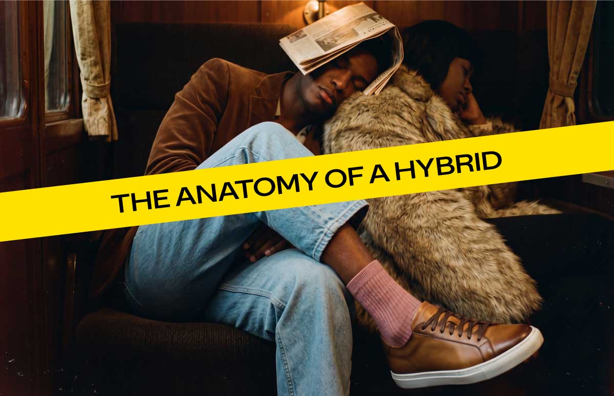 THE ANATOMY OF A HYBRID