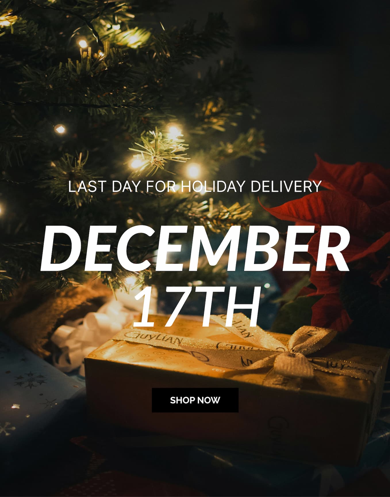 Last Day For Holiday Delivery December 17th | Shop Now