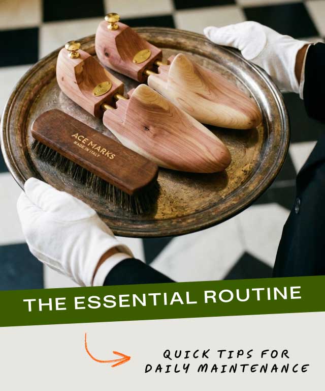The Essential Routine QUICK TIPS FOR DAILY MAINTENANCE