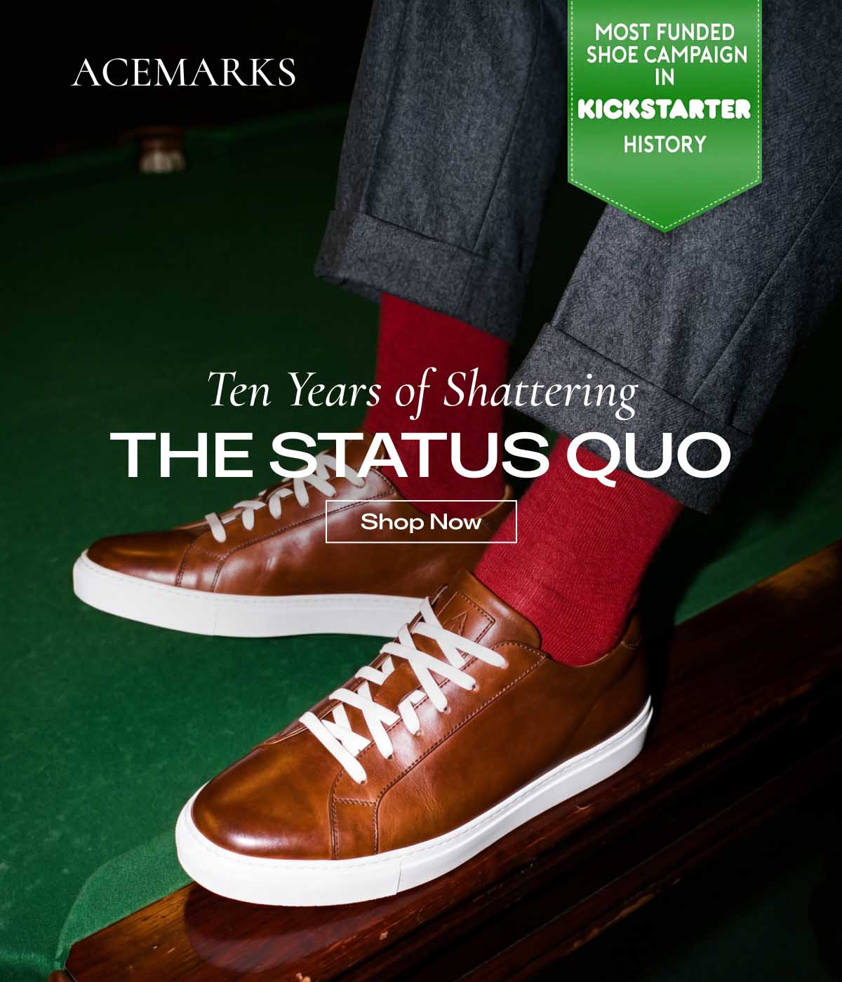ACEMARKS Ten Years of Shattering THE STATUS QUO [Shop Now]