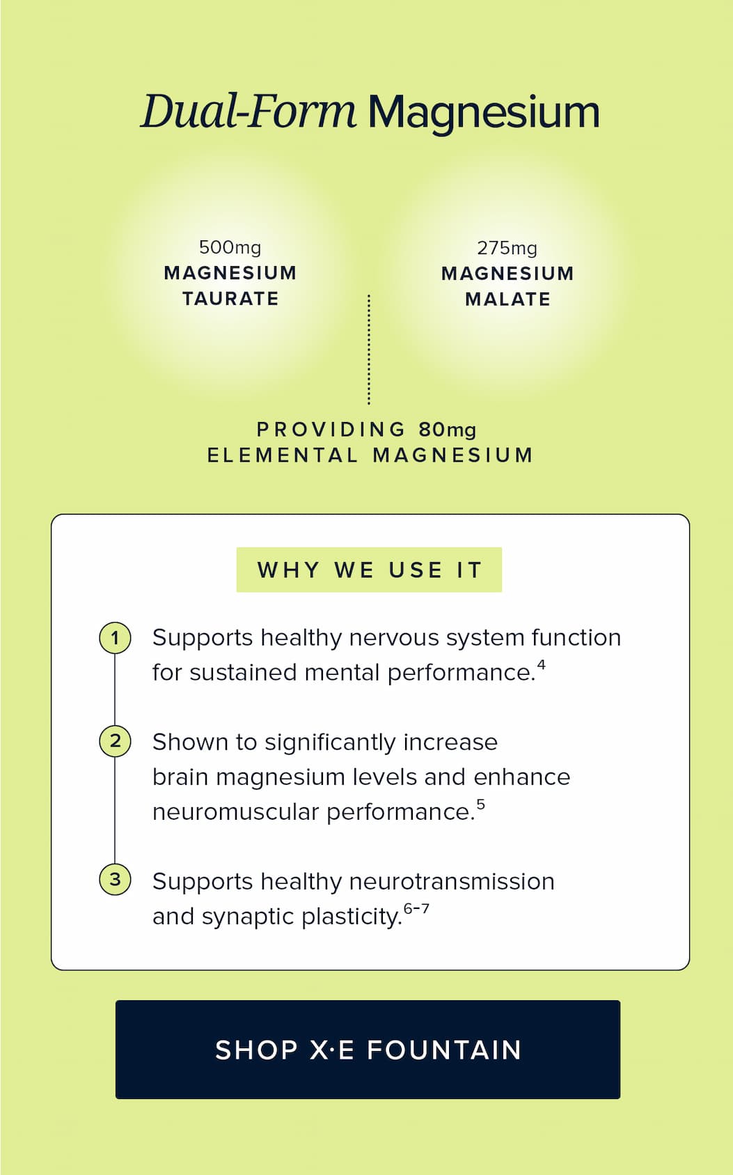 X·E Fountain | Energizing Electrolyte
