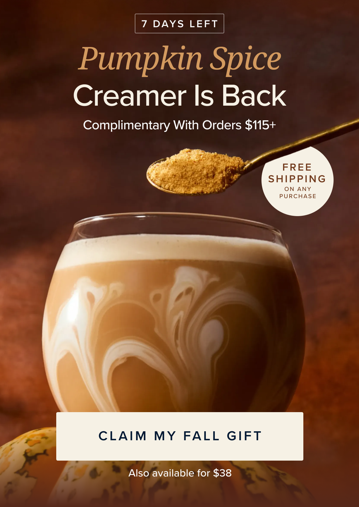 Pumpkin Spice Creamer