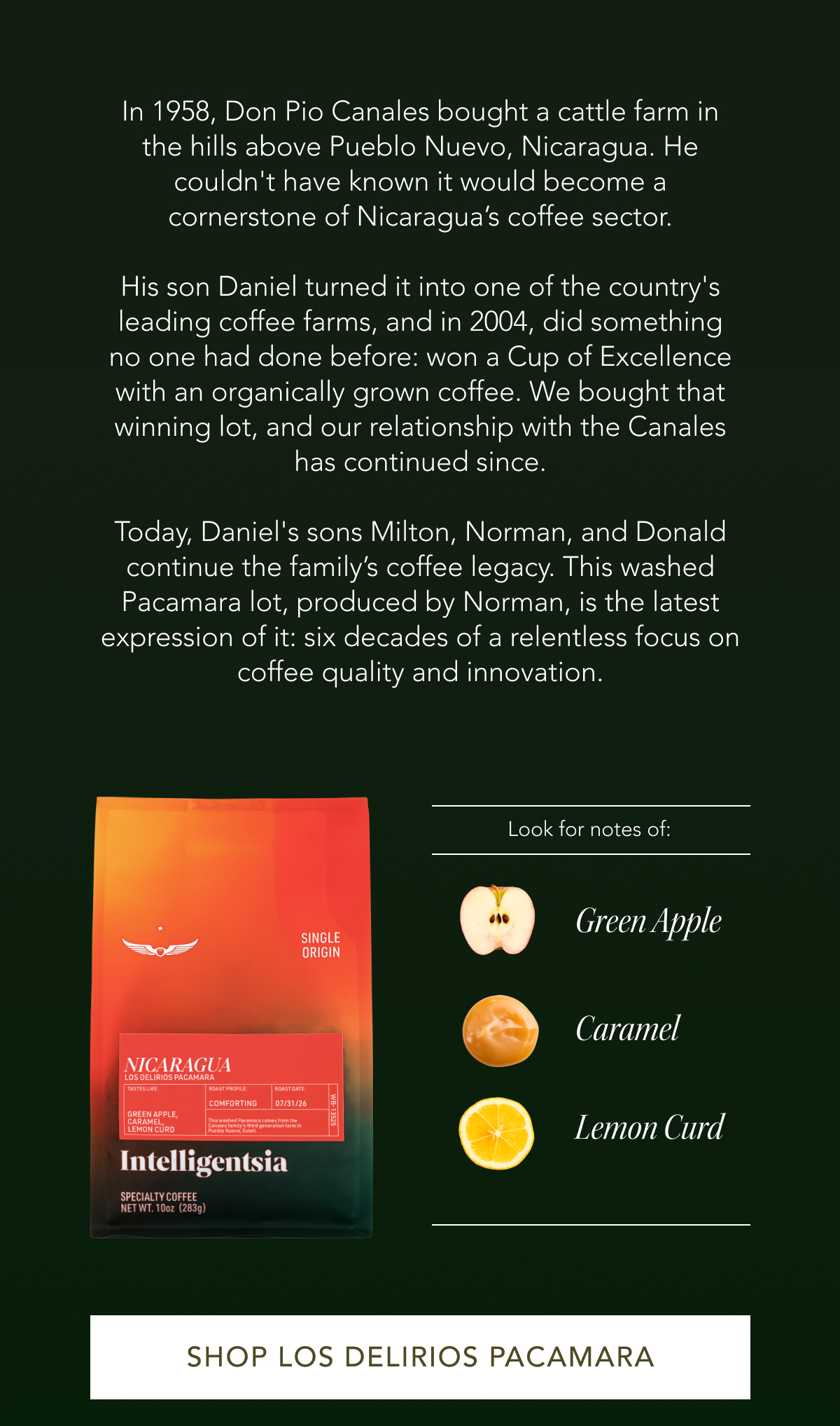 In 1958, Don Pio Canales bought a cattle farm in the hills above Pueblo Nuevo, Nicaragua. He couldn't have known it would become a cornerstone of Nicaragua’s coffee sector. His son Daniel turned it into one of the country's leading coffee farms, and in 2004, did something no one had done before: won a Cup of Excellence with an organically grown coffee. We bought that winning lot, and our relationship with the Canales has continued since. Today, Daniel's sons Milton, Norman, and Donald continue the family’s coffee legacy. This washed Pacamara lot, produced by Norman, is the latest expression of it: six decades of a relentless focus on coffee quality and innovation. Look for notes of green apple, caramel, and lemon curd. | SHOP LOS DELIRIOS PACAMARA