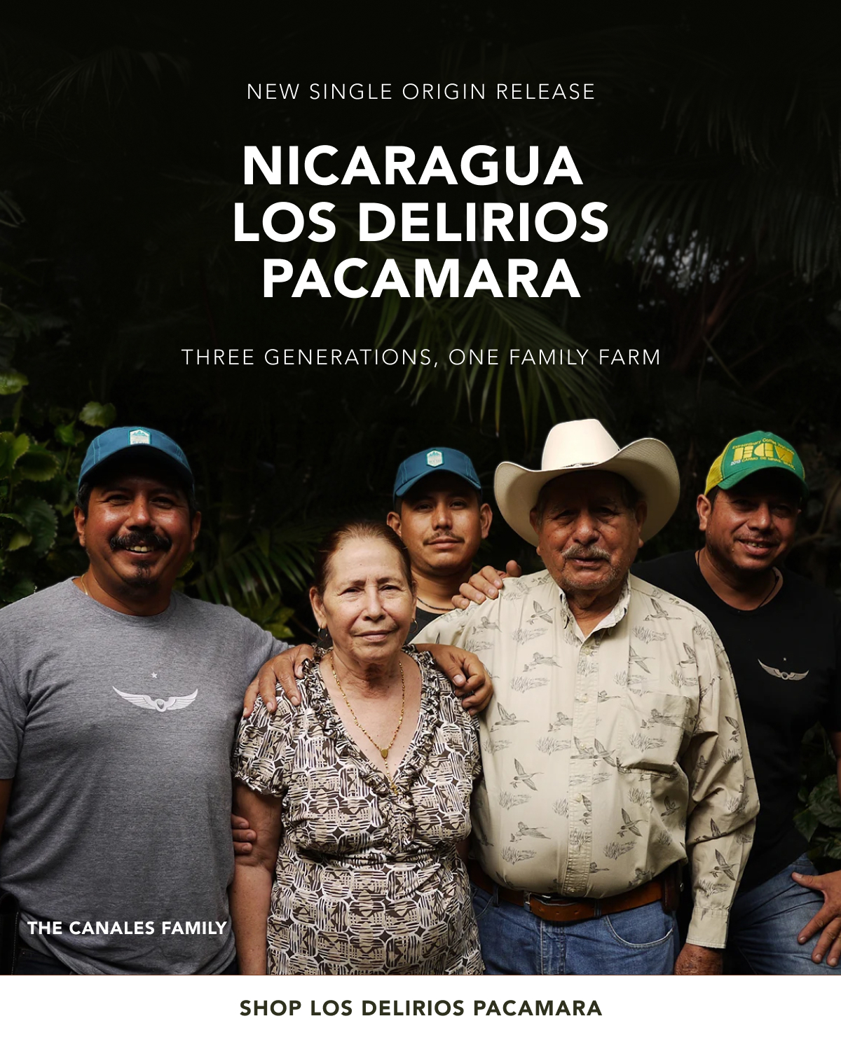 New Single Origin Release: Nicaragua  Los Delirios Pacamara. three generations, one family farm. | SHOP LOS DELIRIOS PACAMARA