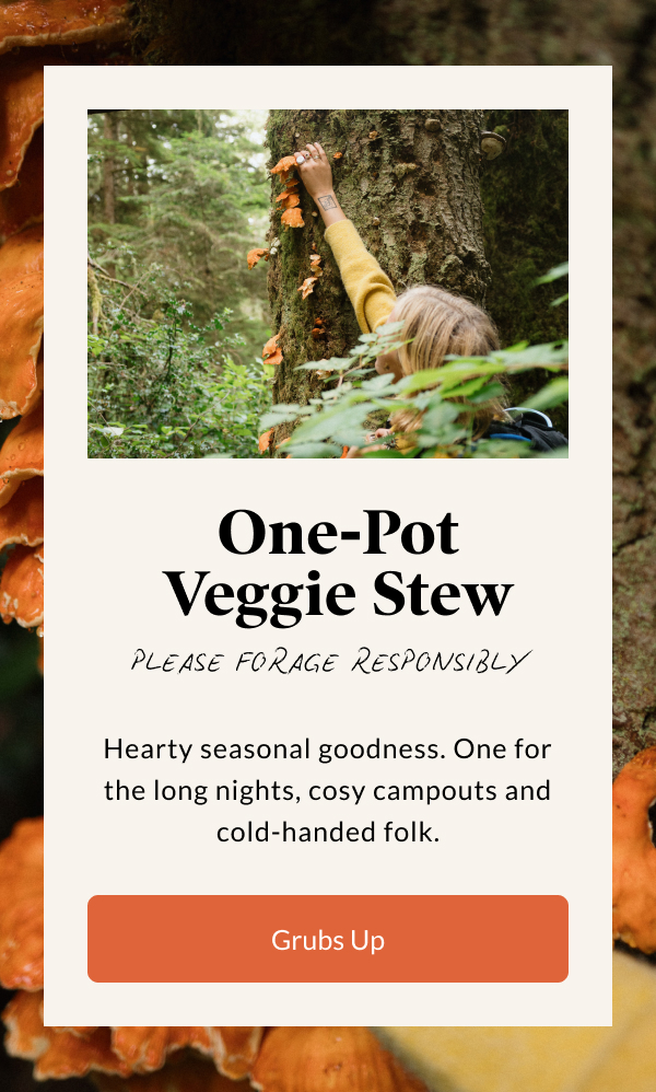 One-Pot Veggie Stew