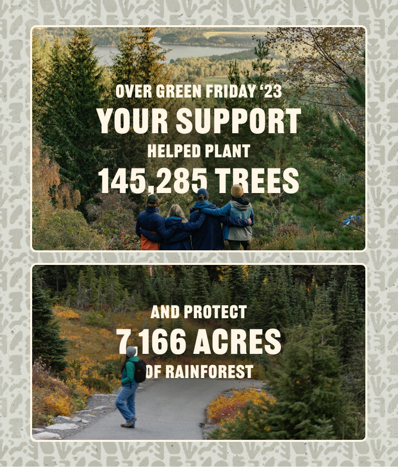 Your Impact