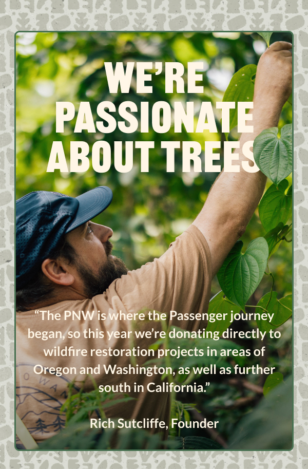 We're Passionate About Trees
