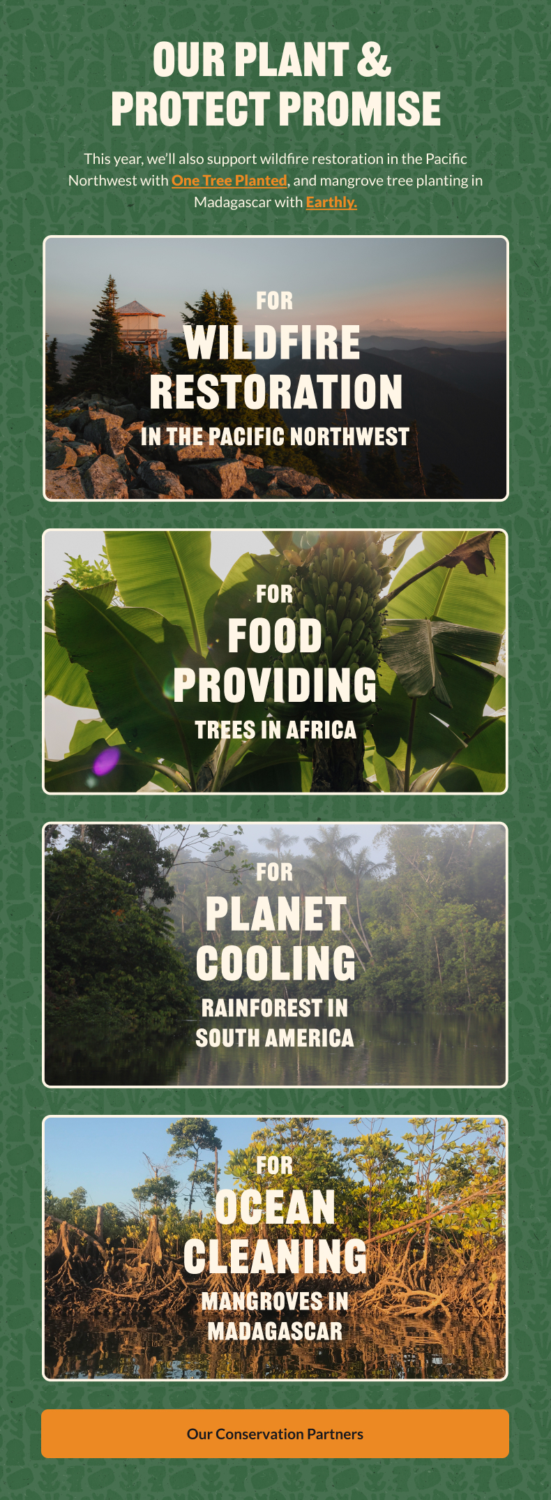 Our Plant and Protect Promise