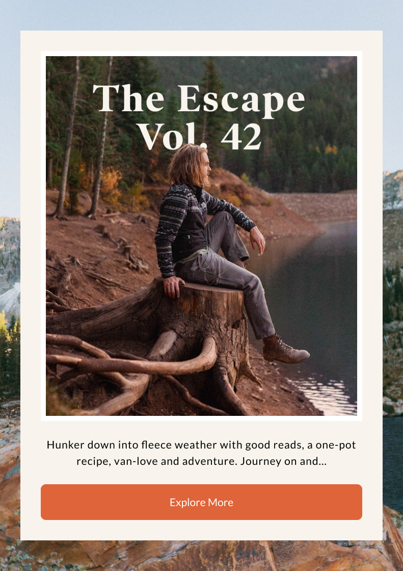 The Escape Vol. 42