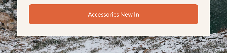 Accessories New In