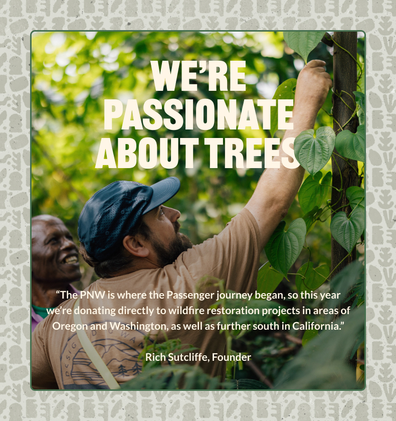 We're Passionate About Trees
