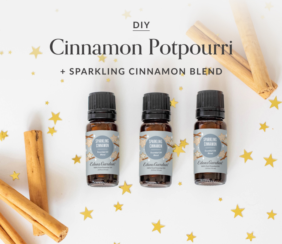 DIY Holiday Cinnamon Potpourri Edens Garden