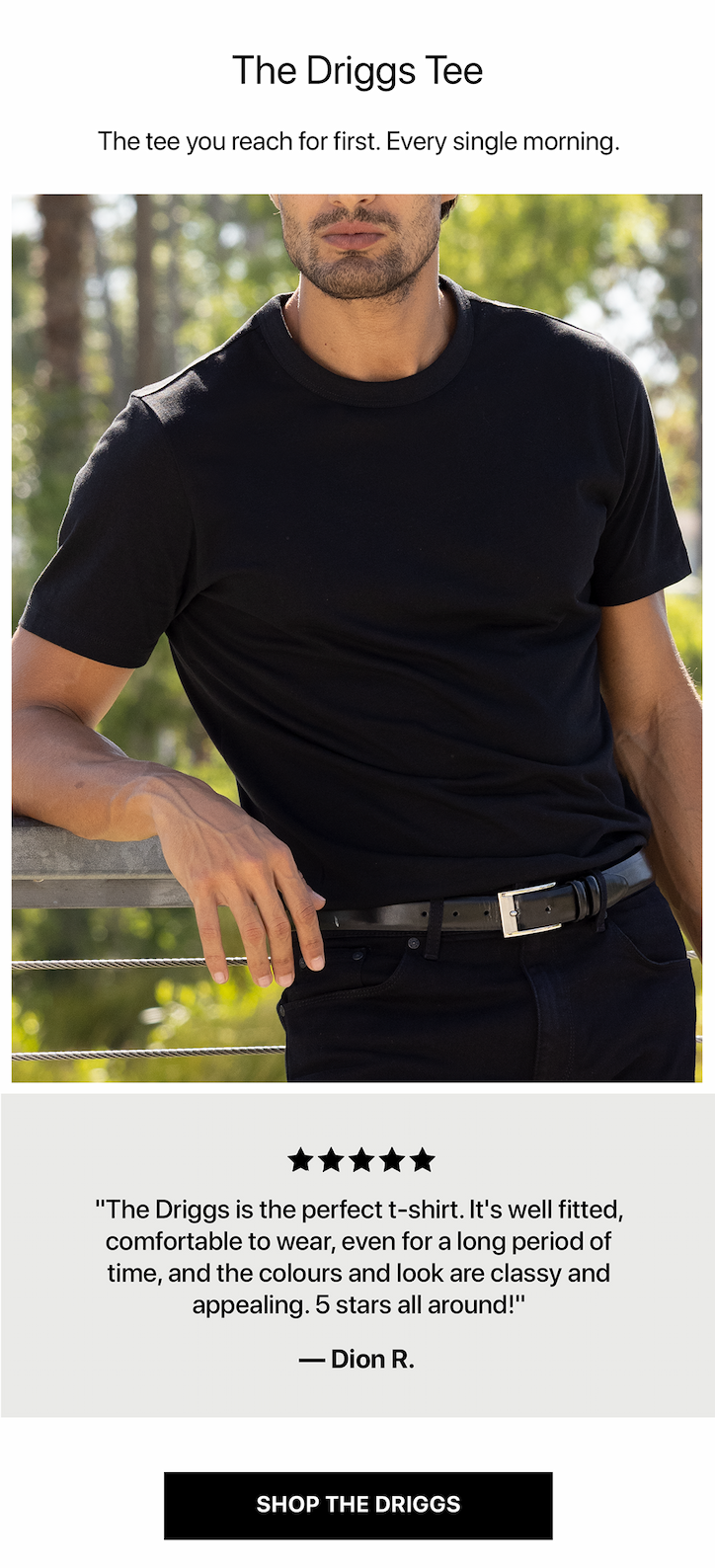 Classic Crew Driggs Tee
