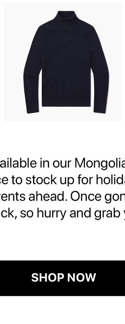 Cashmere Turtleneck Willow Sweater