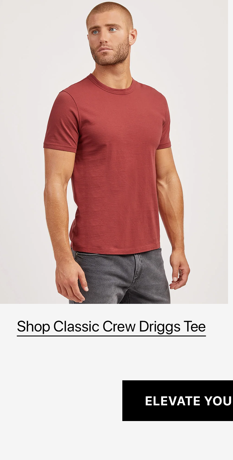 Classic Crew Driggs Tee