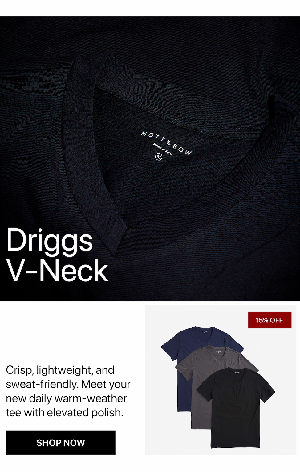 Classic V-Neck Driggs Tee 3-Pack